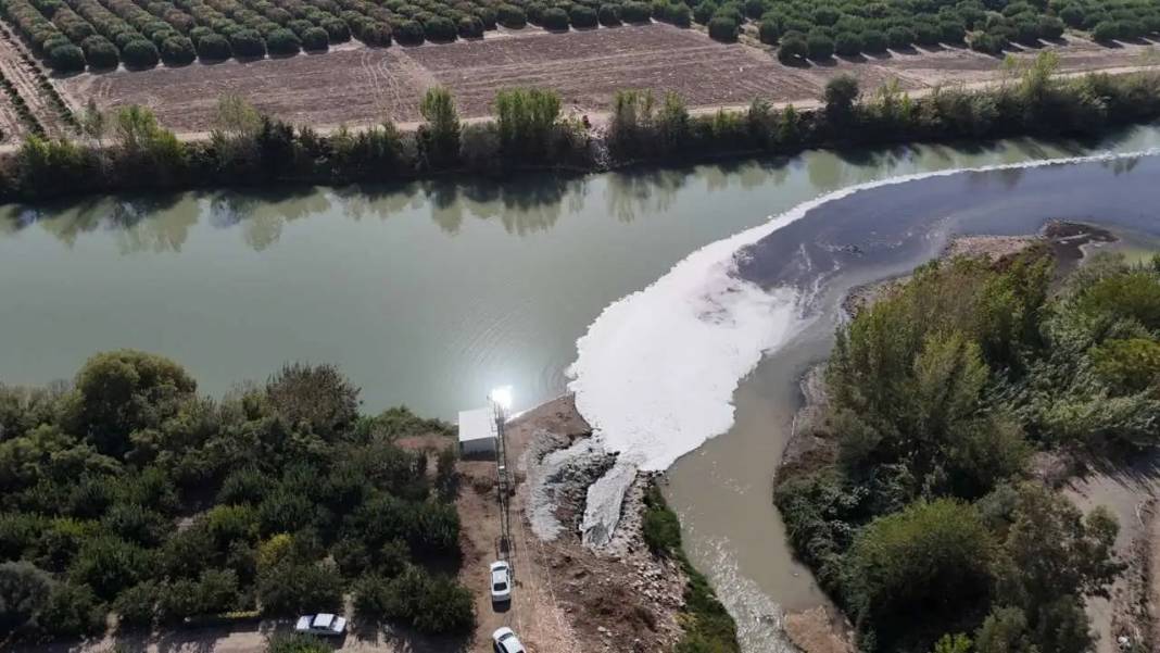 Ceyhan Nehri’nde Balıklar Telef Oldu: Mahalle Kokuyor, Nehir Ölüyor! 6